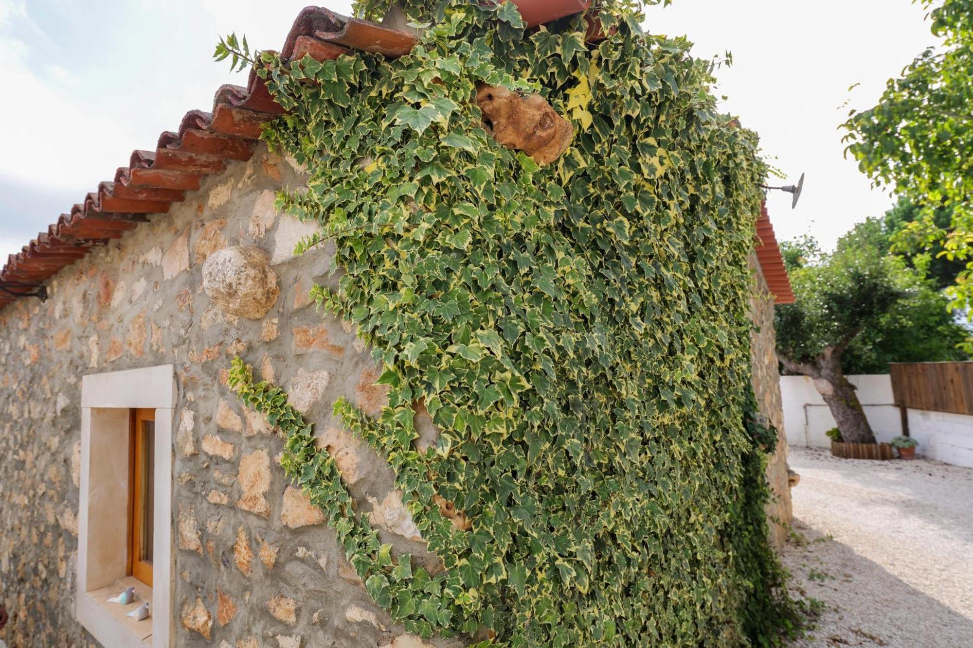 Renovated Wine Press House - With Pool Villa Porto de Mós Kültér fotó